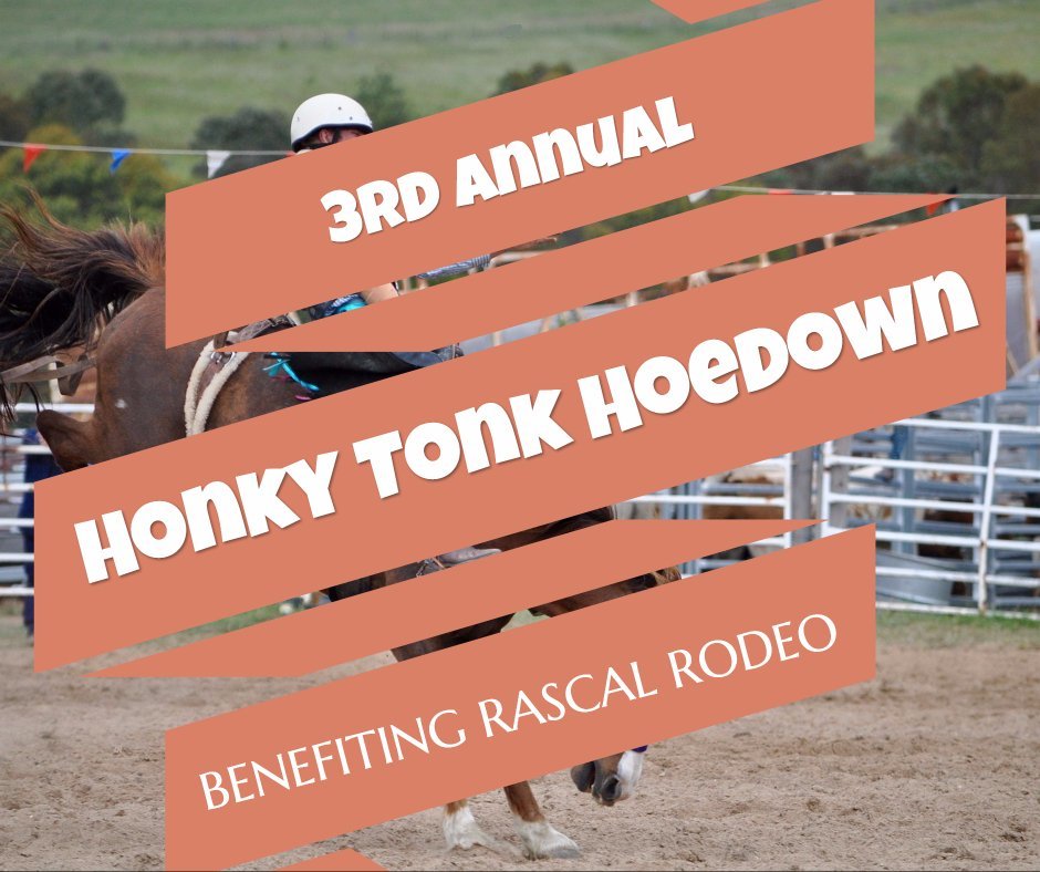 3rd annual honky tonky hoedown